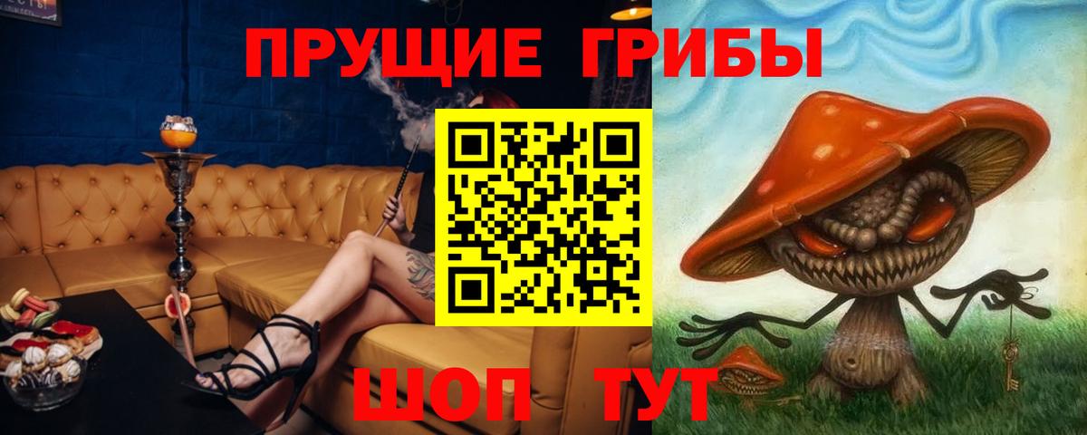 Псилоцибиновые грибы GOLDEN TEACHER  хочу наркоту  Нижний Новгород  Вход с VPN 